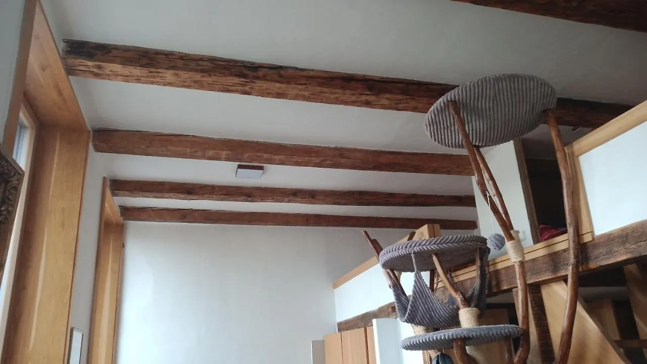 Bydleni V Centru Ov Blizko Stodolni, Bez Vytahu Apartment Ostrava
