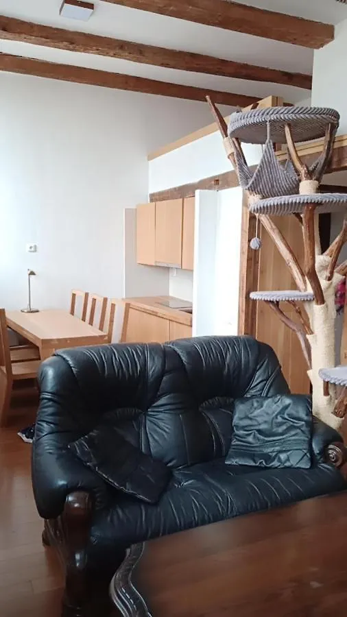 Bydleni V Centru Ov Blizko Stodolni, Bez Vytahu Apartment Ostrava